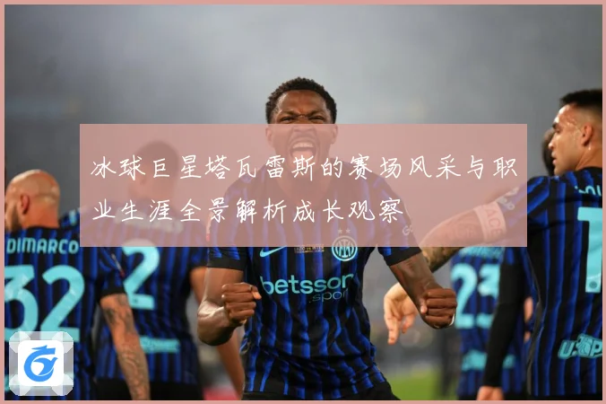 冰球巨星塔瓦雷斯的赛场风采与职业生涯全景解析成长观察
