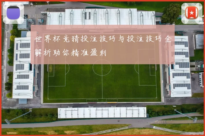 世界杯竞猜投注技巧与投注技巧全解析助你精准盈利