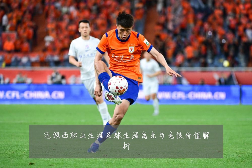 范佩西职业生涯足球生涯高光与竞技价值解析