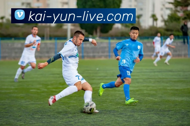 开云平台展示图