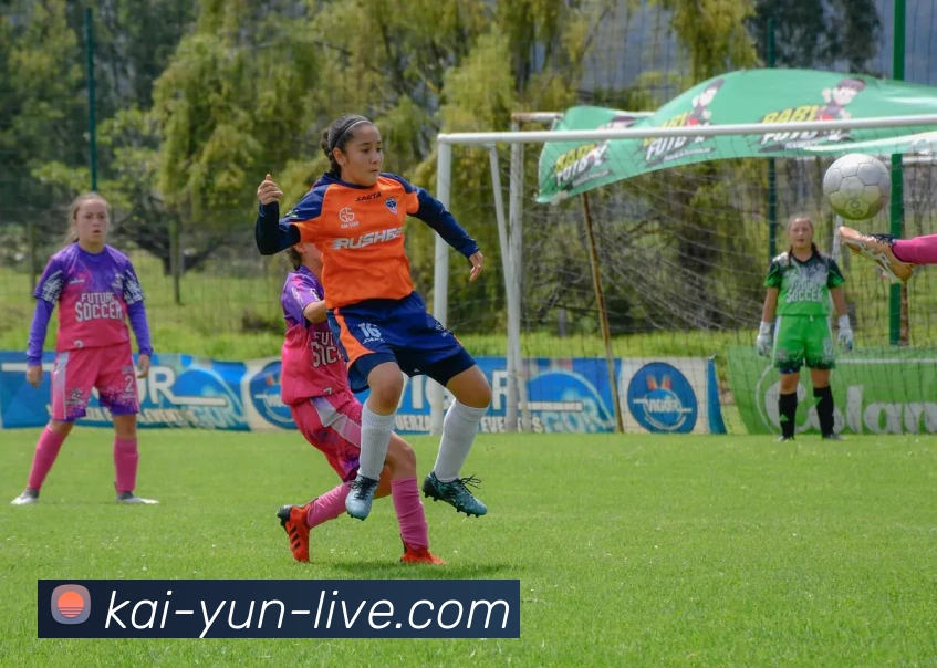 开云官网全站App